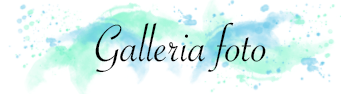 galleriafoto.png